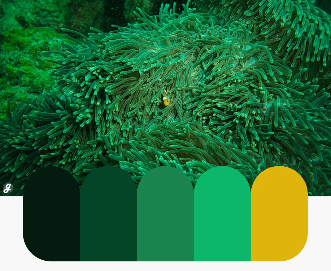 Underwater Garden Color Palettes