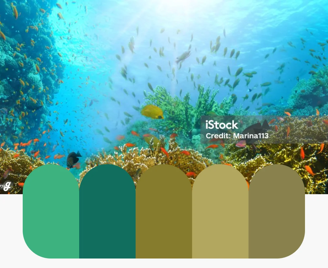 Seafoam Splash Color Palettes