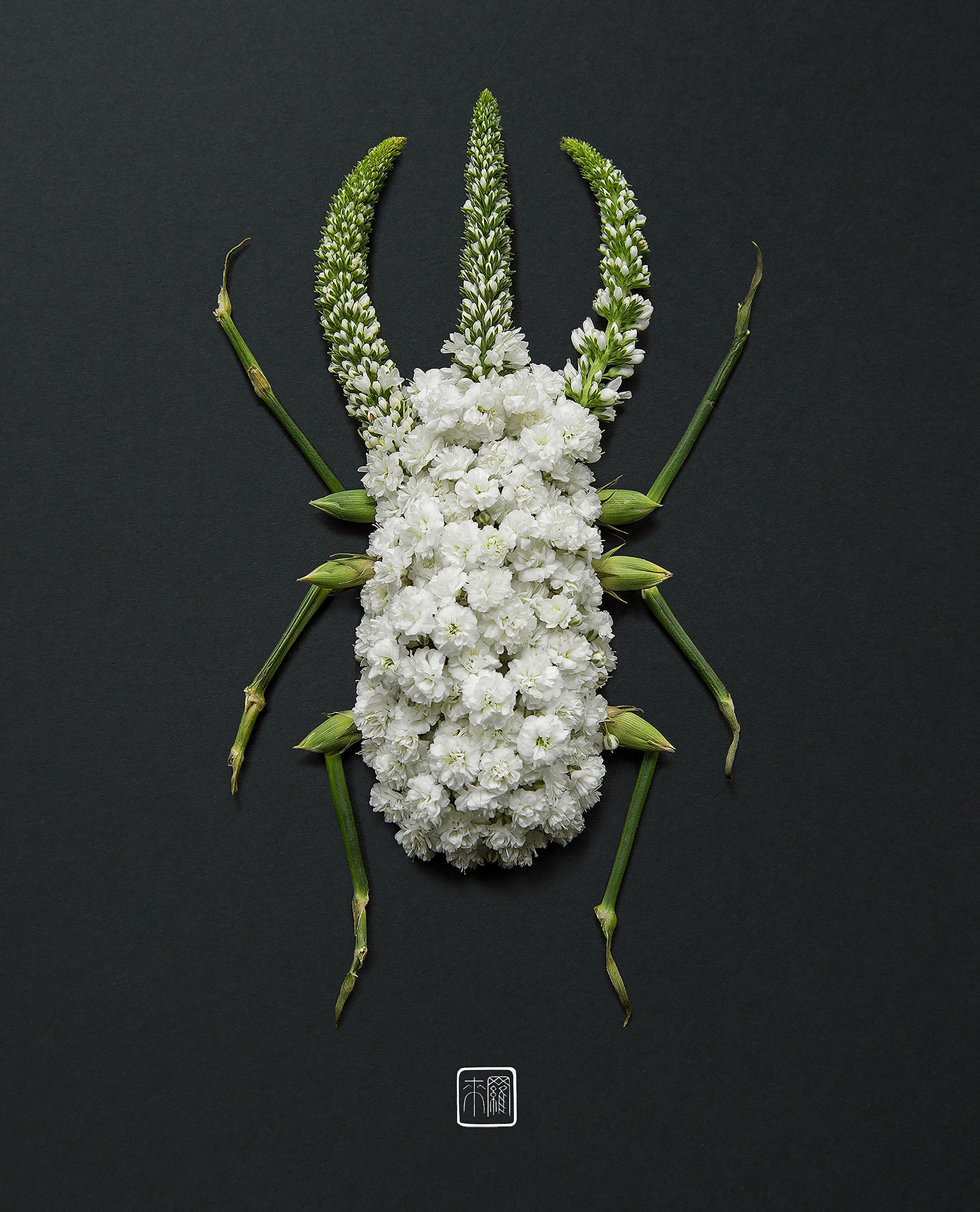 Flower Petals and Stems Transform into Animals and Insects in Inventive new Arrangements