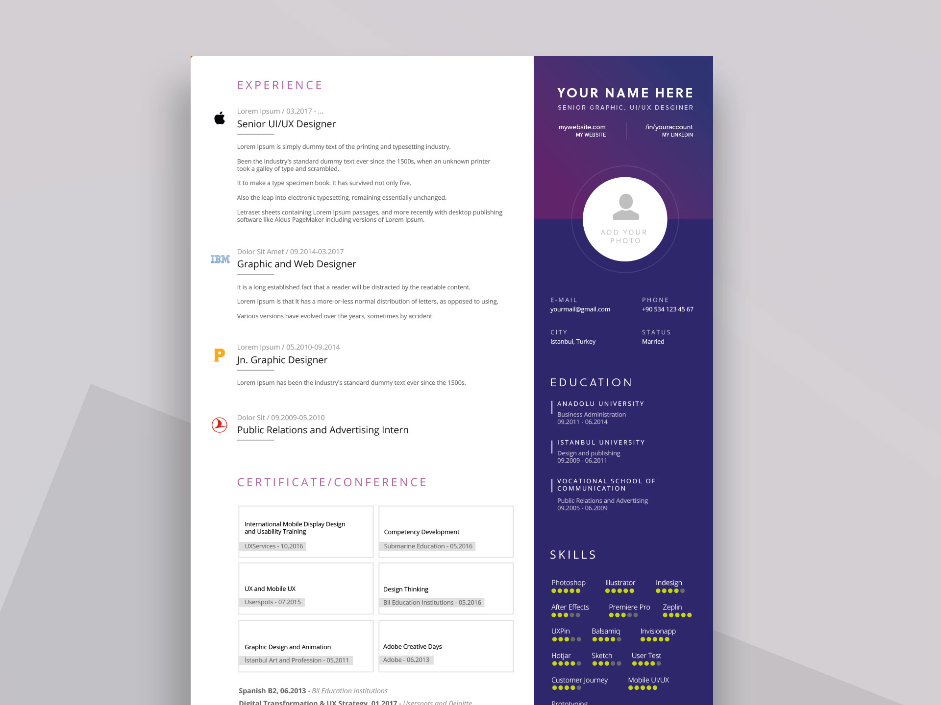 Resume Template Free Download