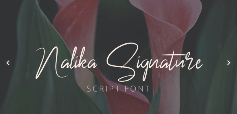 Nalika Signature free font