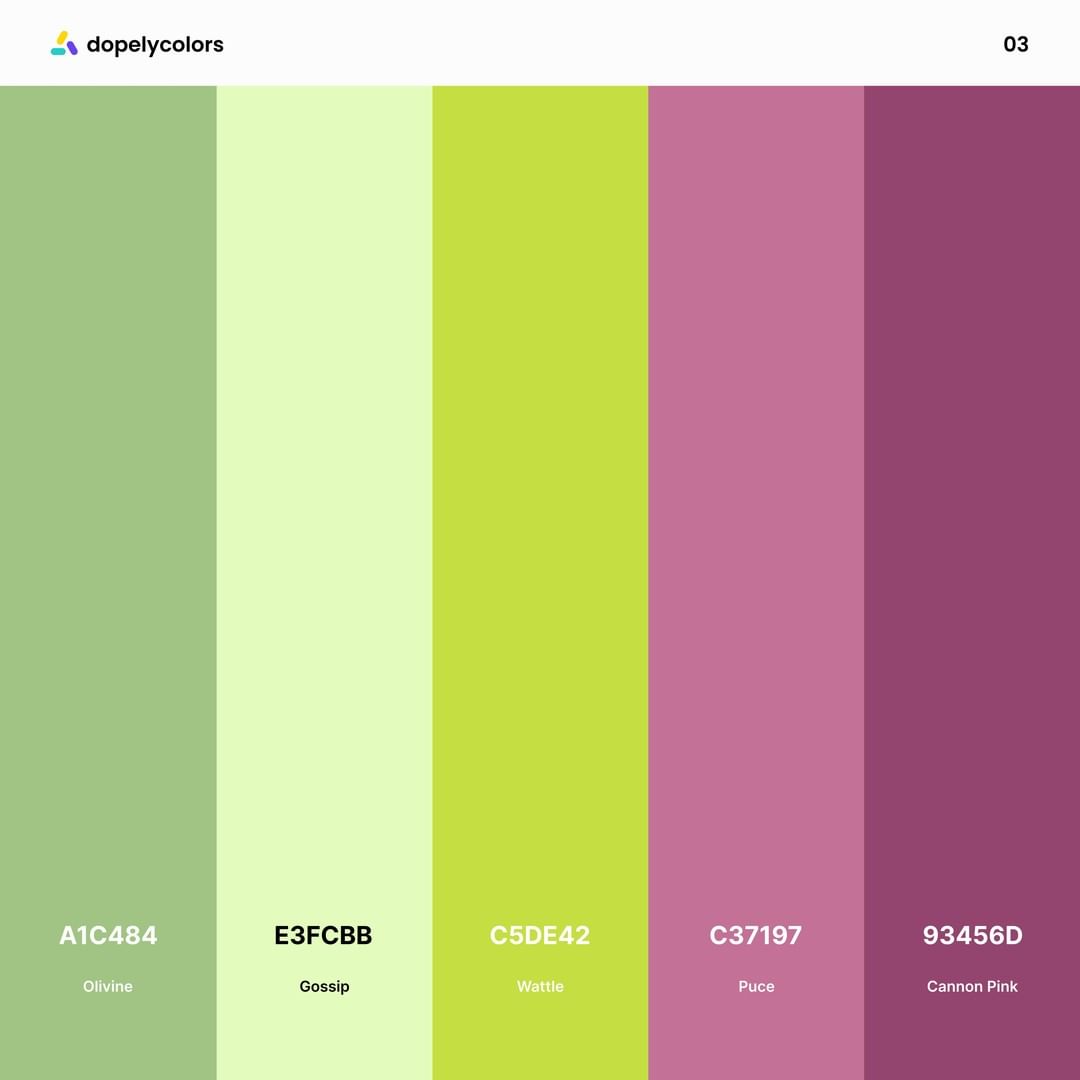 Beautiful Color Palettes