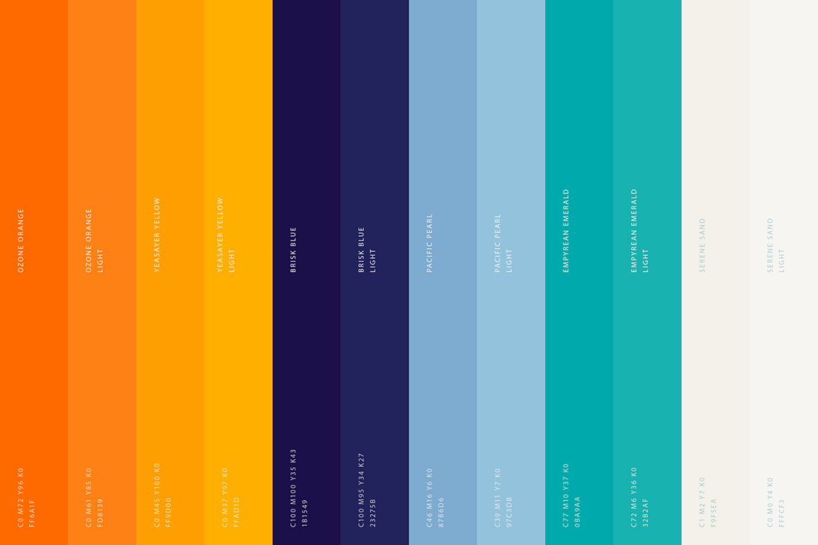 Brand Identity design color palette for csr