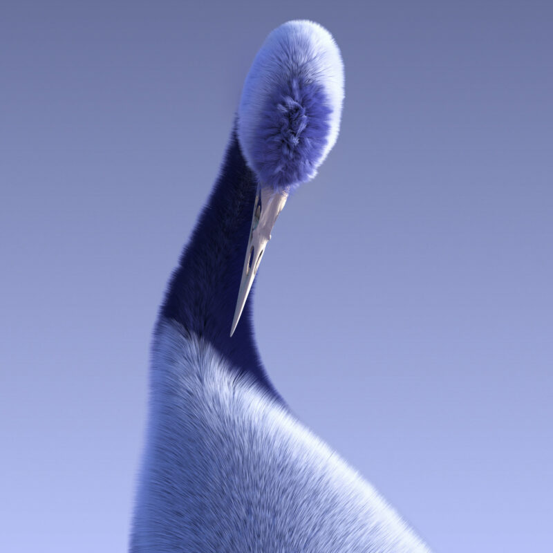 Hairy birds by 3D artist Yomi 1
