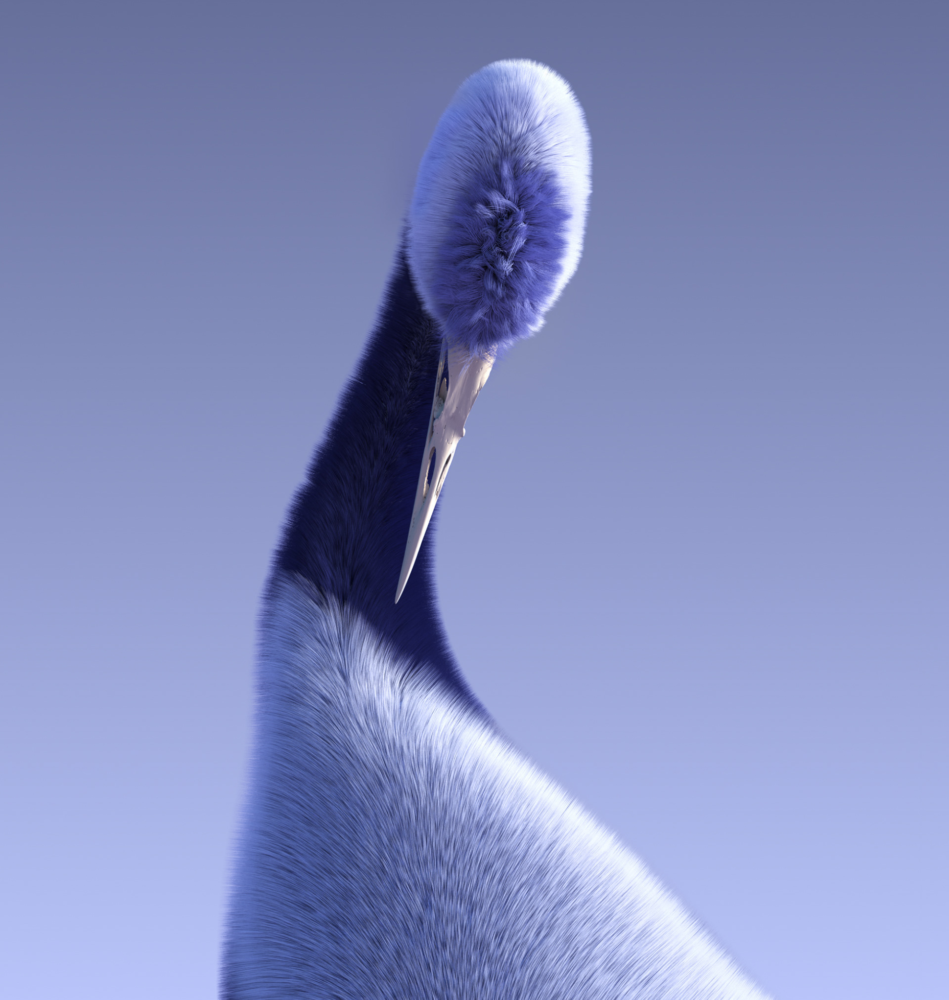 Hairy birds by 3D artist Youmi