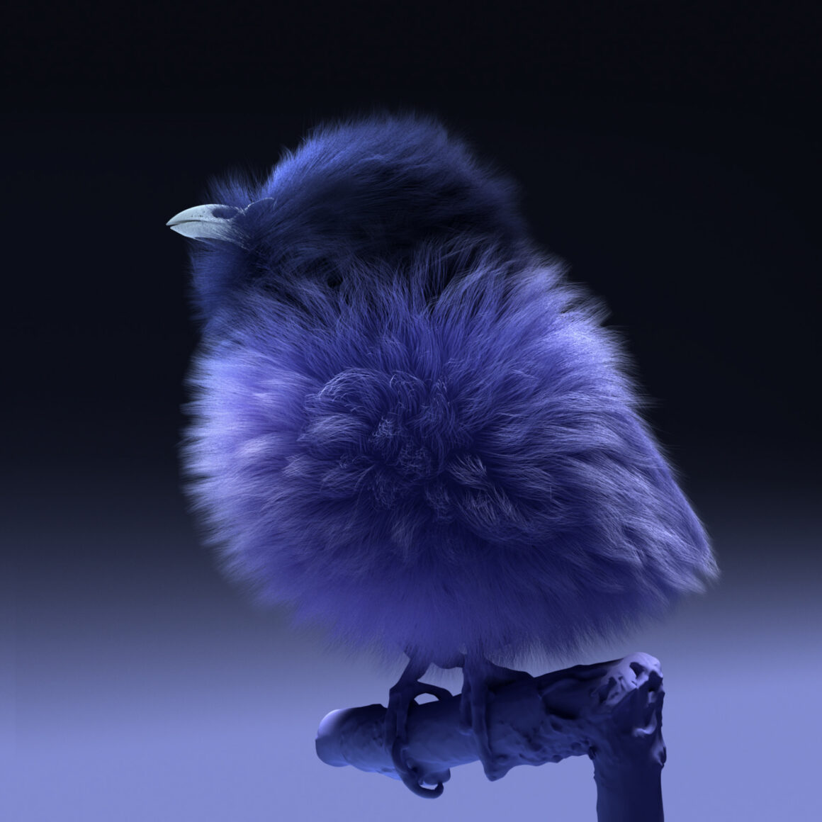 Hairy birds by 3D artist Yomi