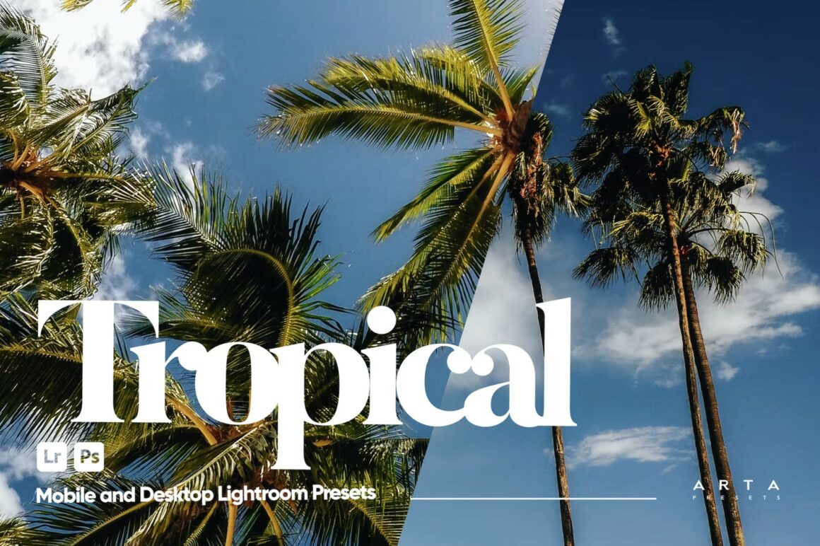 Tropical Presets for Lightroom
