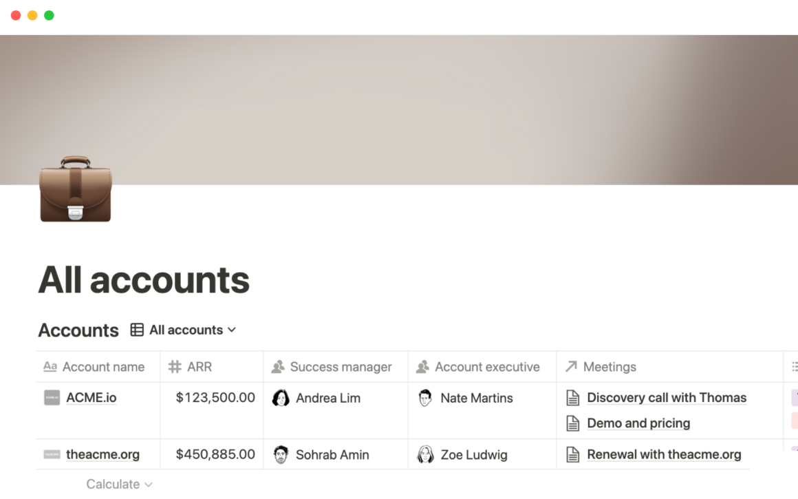 Notion’s all accounts Template