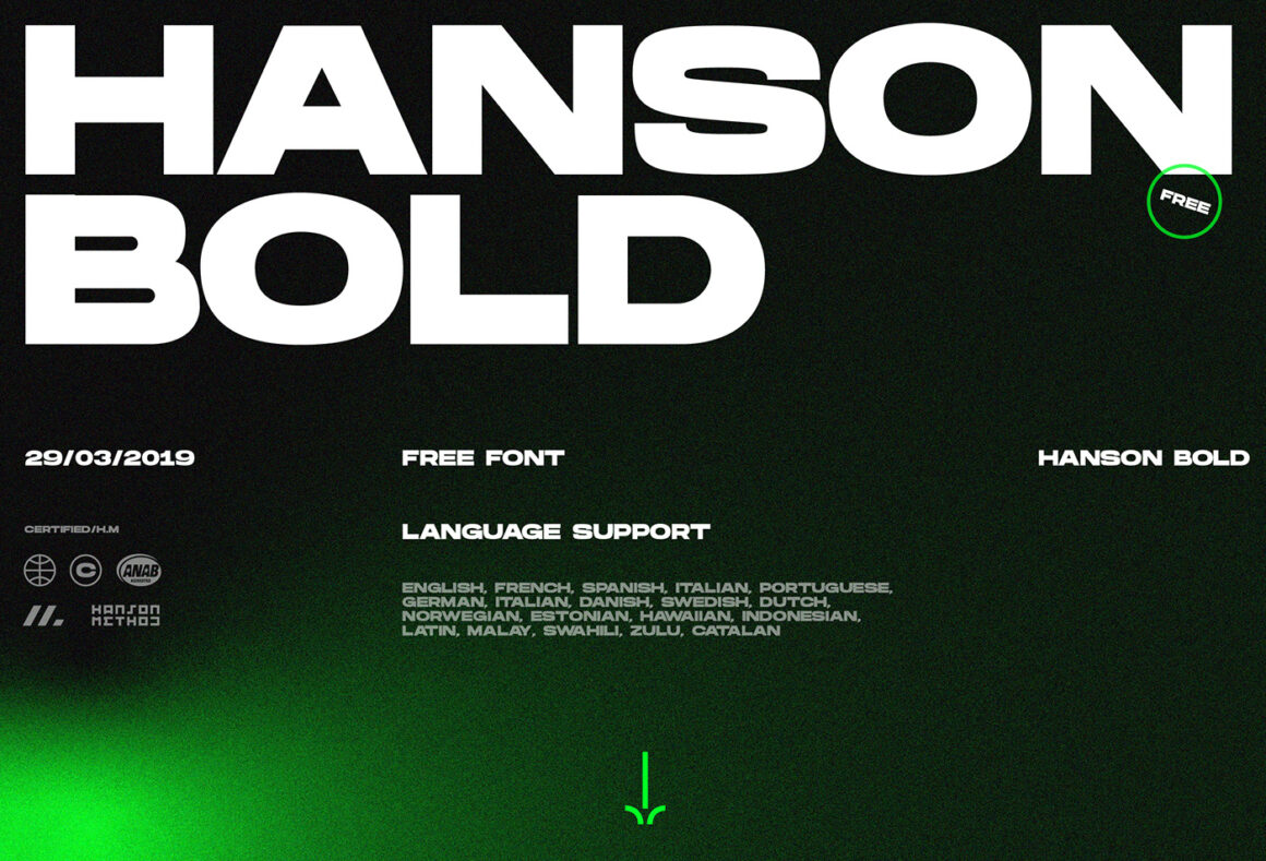 Bold Fonts for Designer in 2022