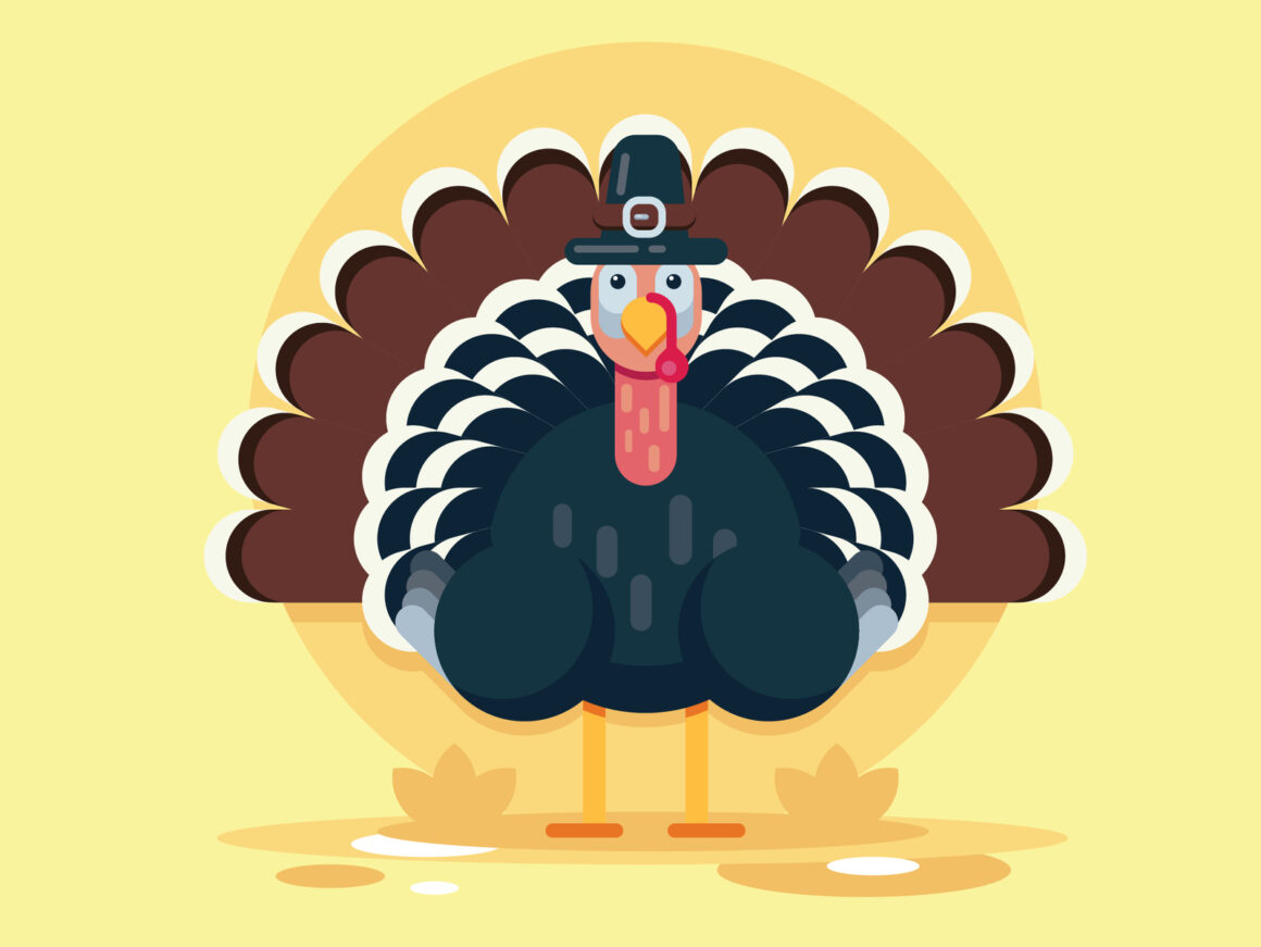 Thanksgiving Illustrations
