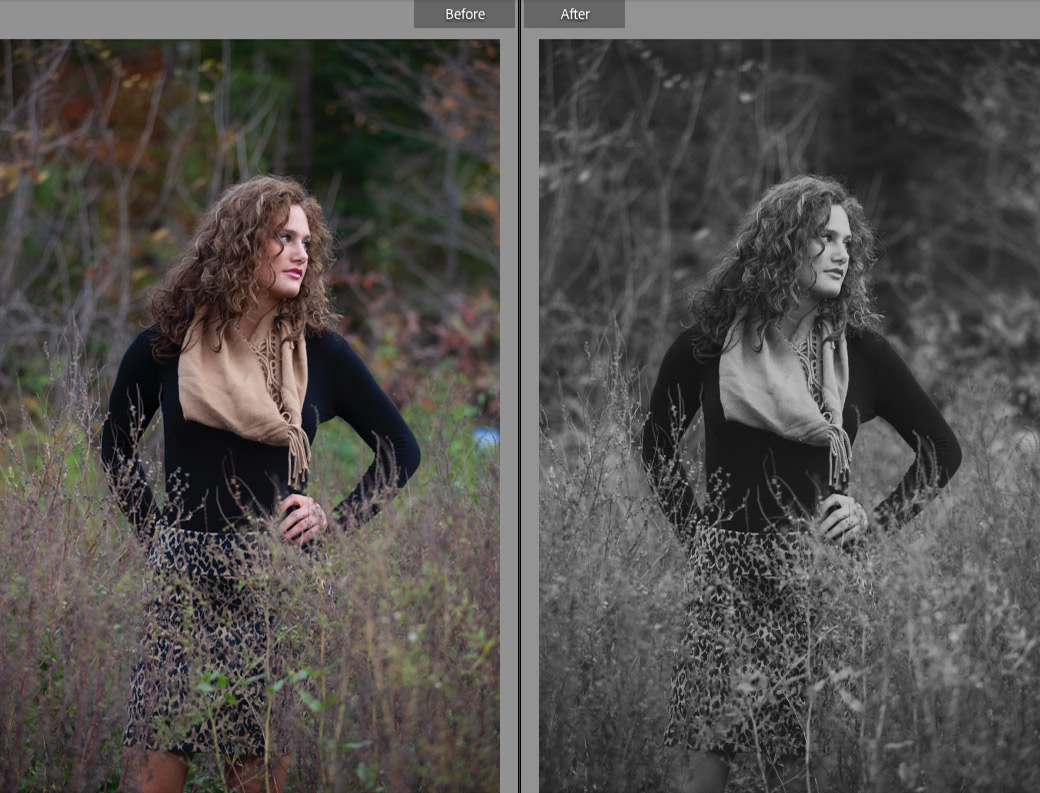 Free Lightroom Preset