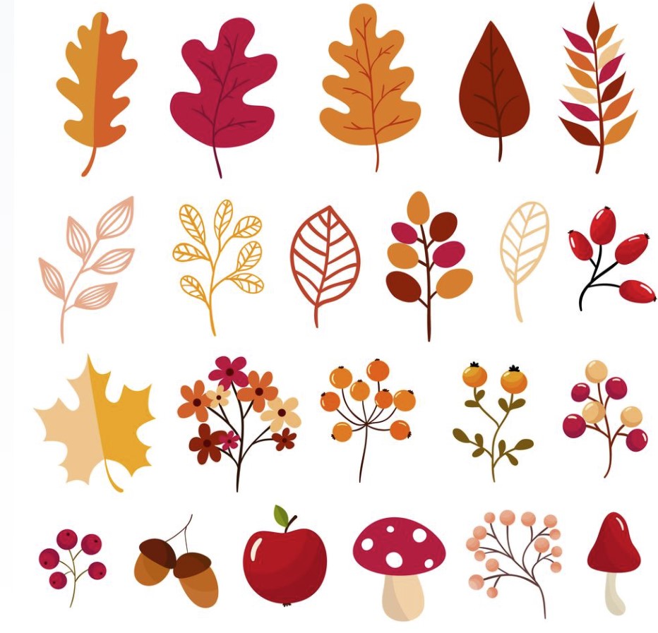 Autumn elements collection Free Vector