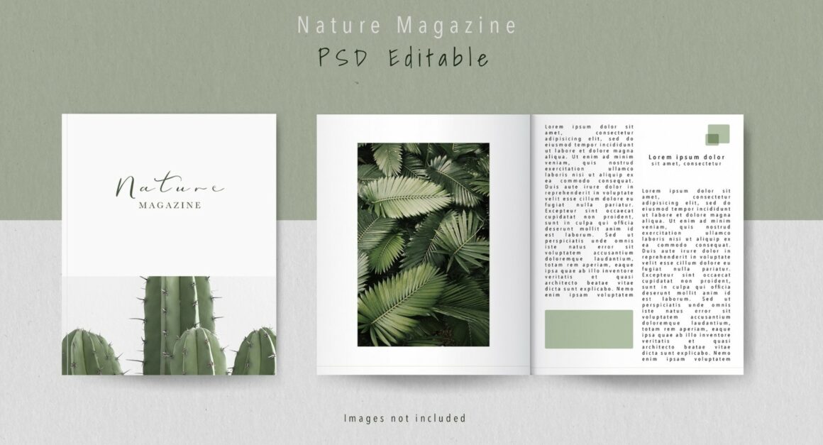 Best Booklet Mockup PSD Templates