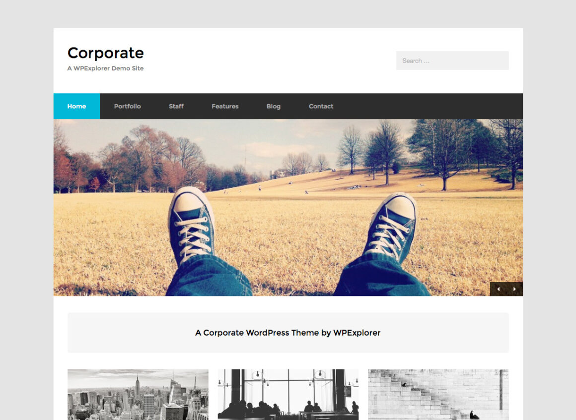 Best Business WordPress Themes