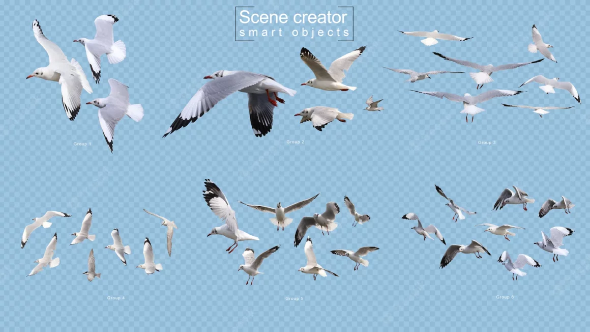 Flying bird's scene creator isolated