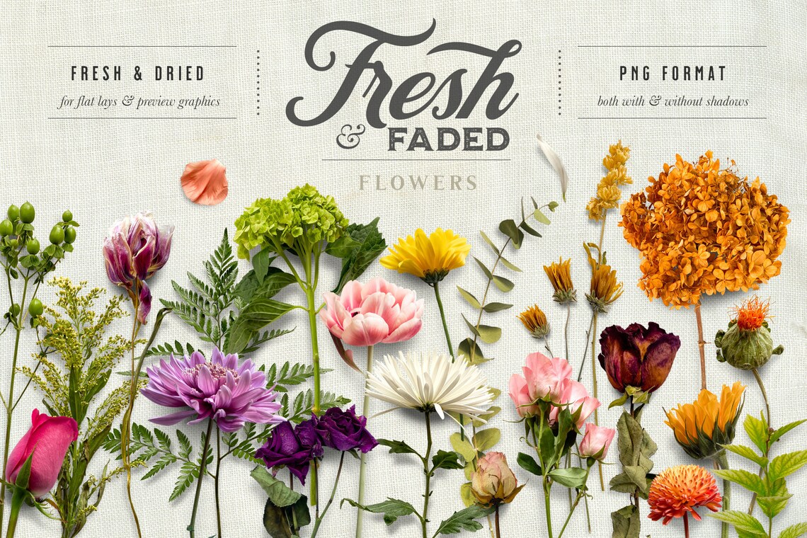 Fresh & Faded Floral Scene Creator Flay Lay Graphics (Mockups Scene Creator)