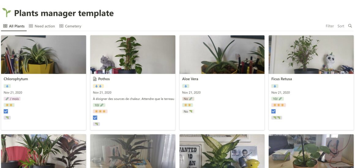 Notion Plant Trackers