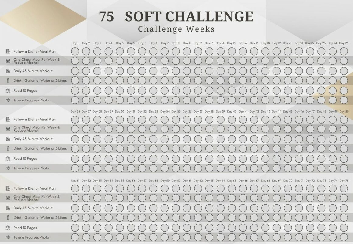 75 Soft Challenge Printable what-does-20-tint-look-like-on-a-car