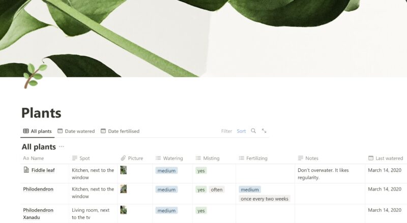 Best Notion Plant Trackers Inspiration Productivity For Everyone