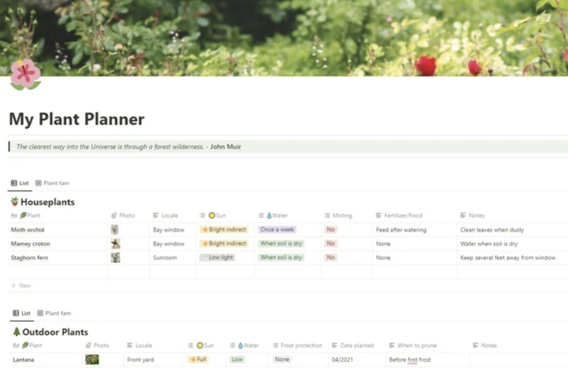 Notion Plant Trackers