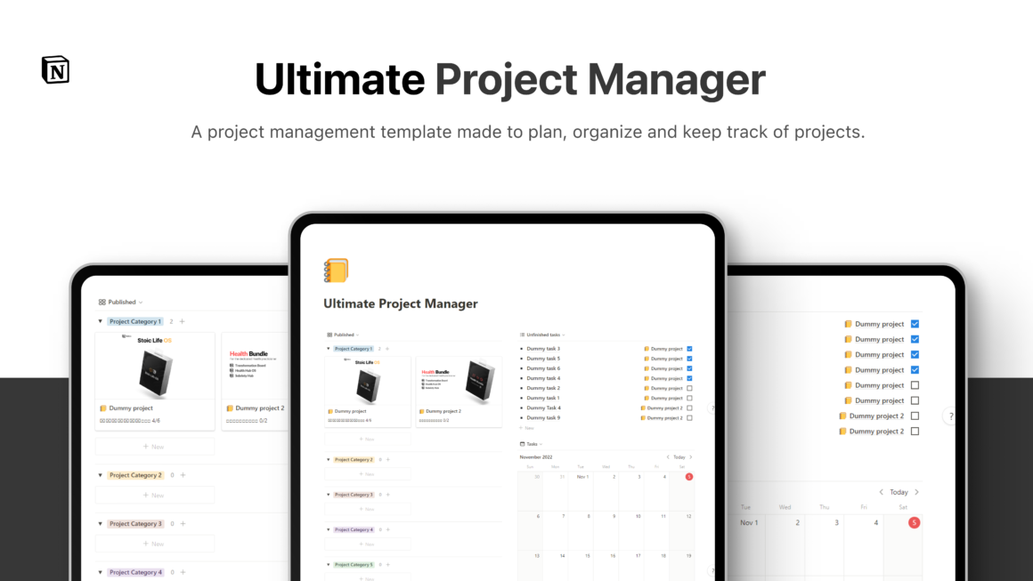 Project manager