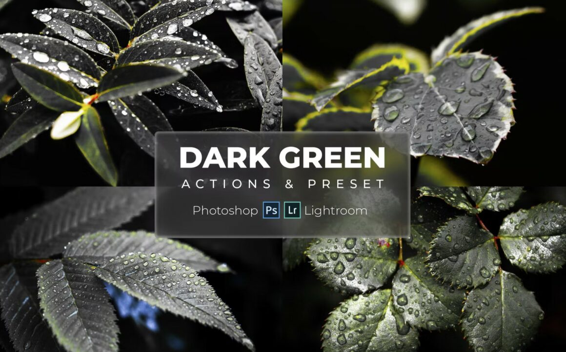 Dark Green Lightroom Presets