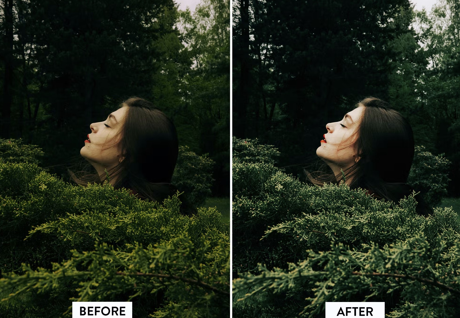 20 Stunning Green Lightroom Presets for Nature Photography