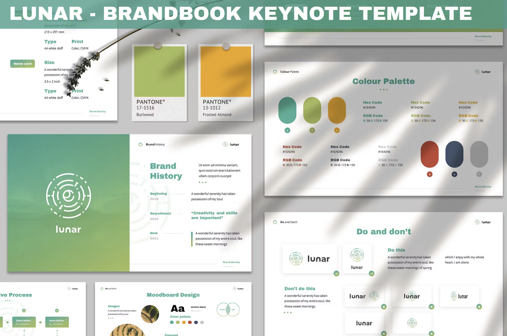 Free & Paid Brand Book Guideline and Template