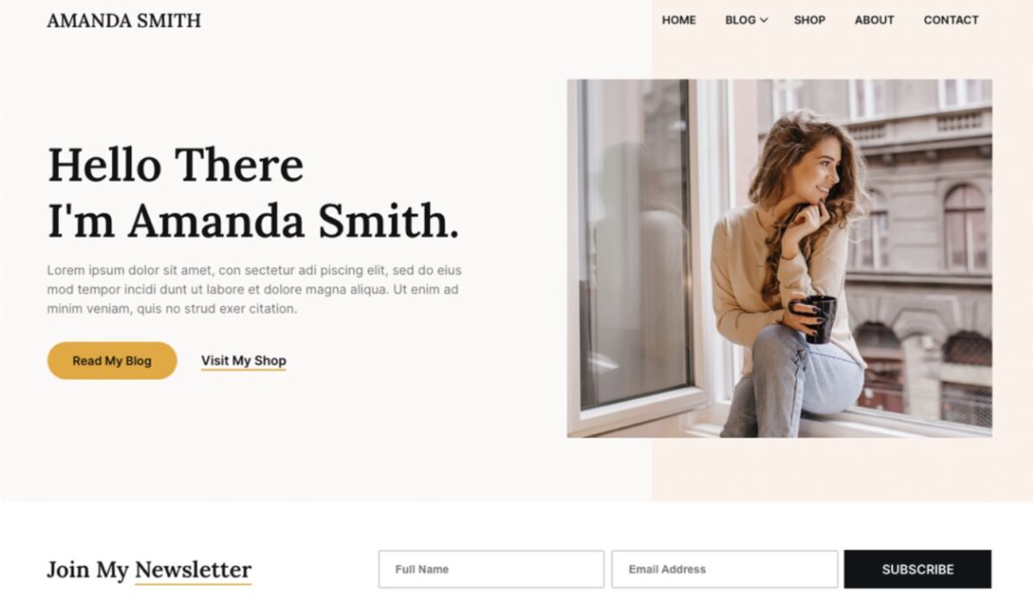 WordPress Themes