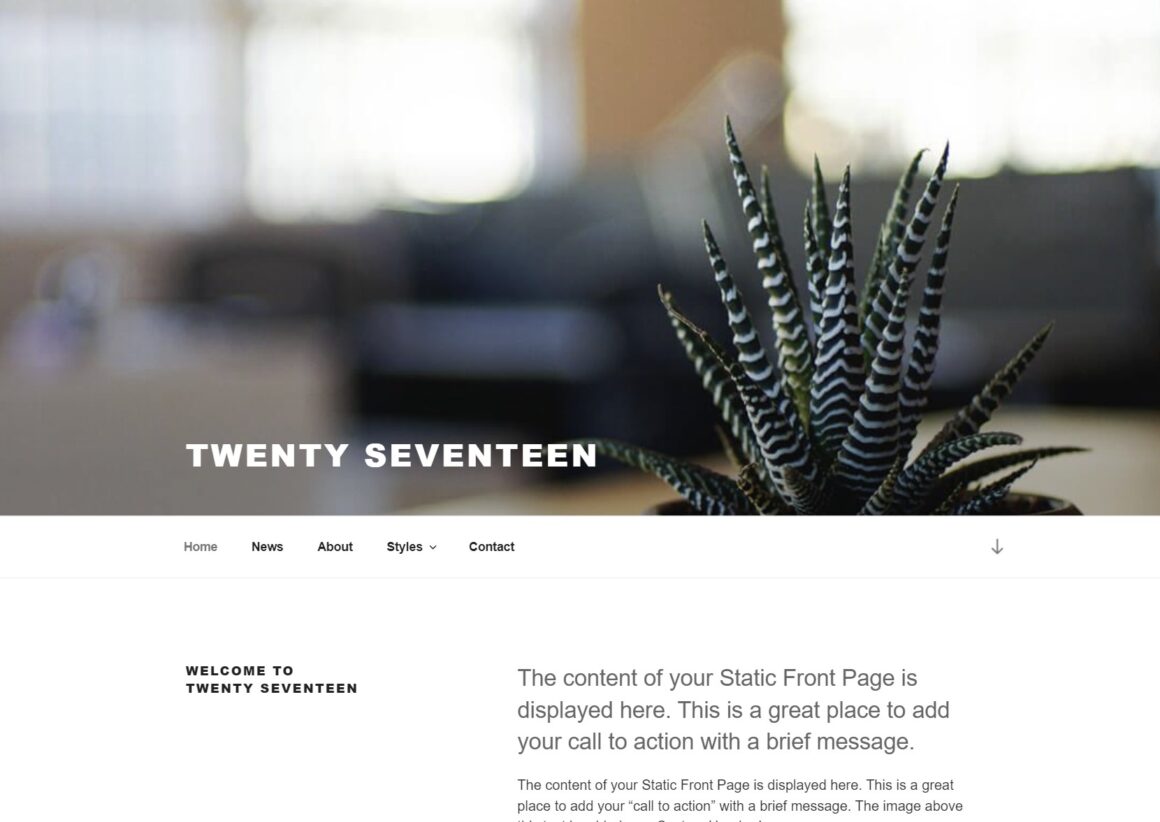 WordPress Themes