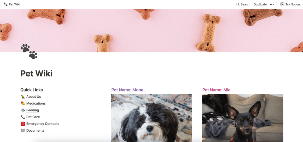 pet notion templates