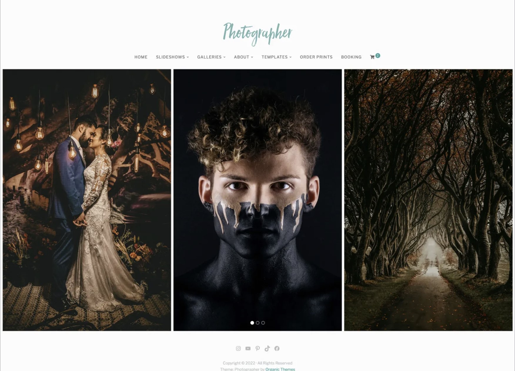 WordPress Themes for Photographers 3