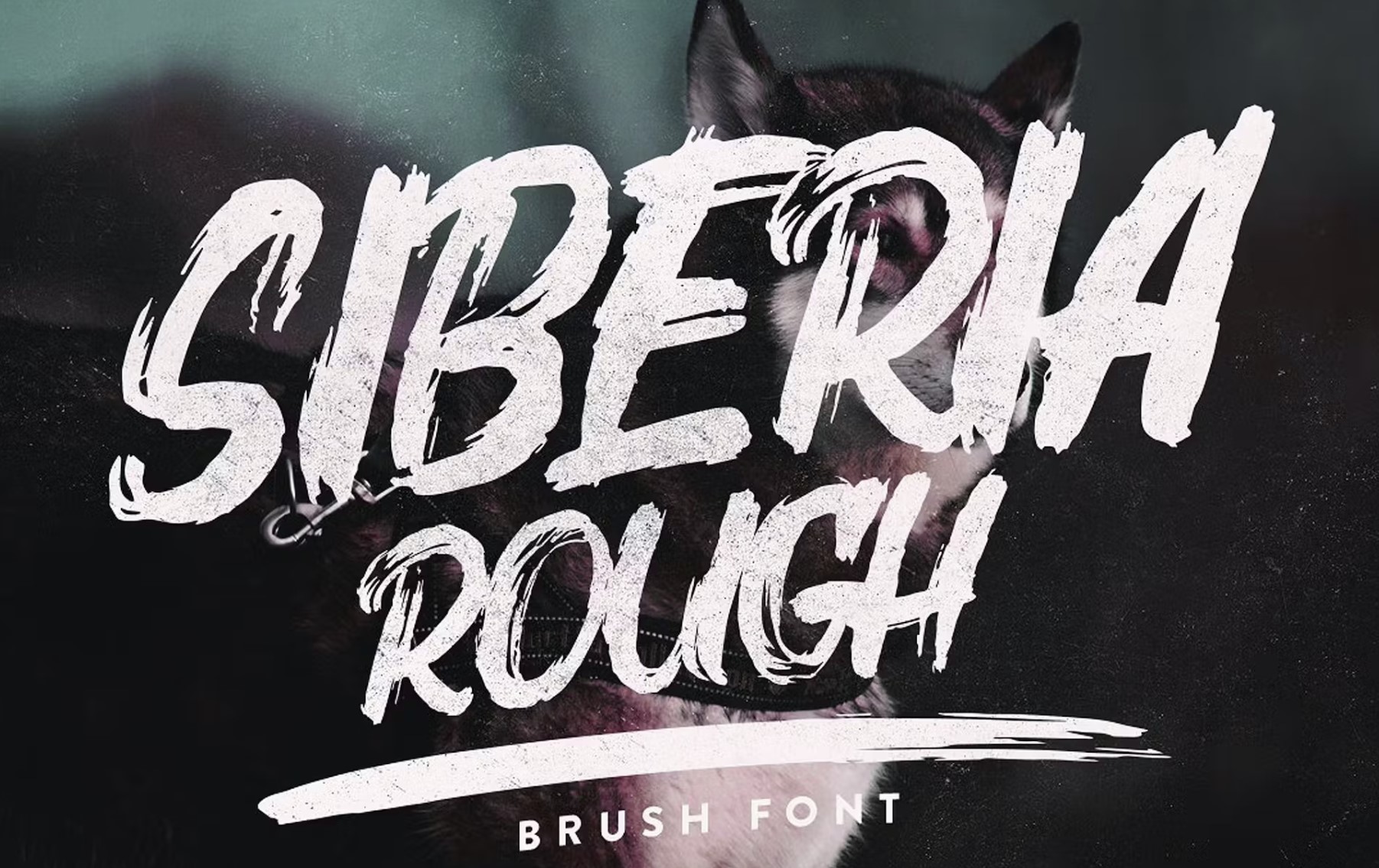 20 Best & Free Fonts for Quotes - Inspiration & Productivity for Everyone