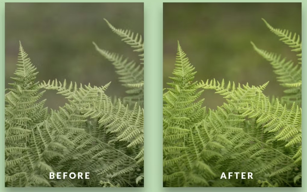 Lightroom Presets for Landscape