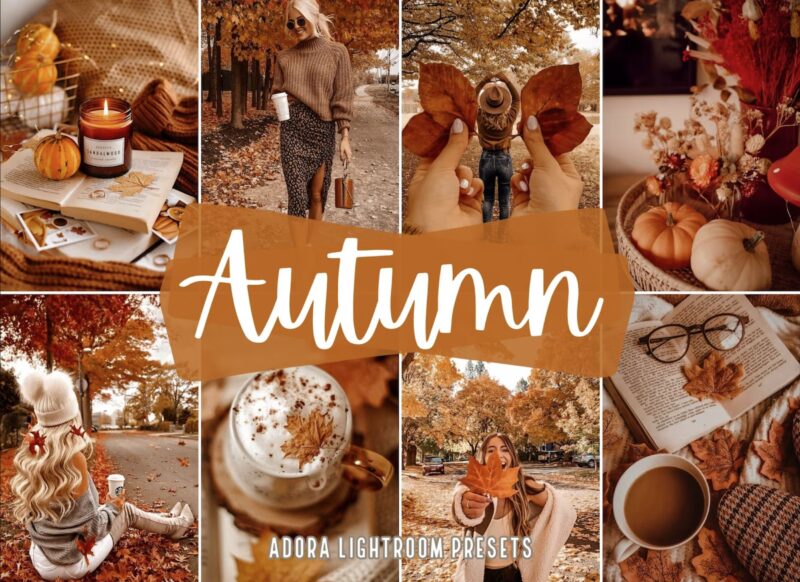 10+ Best Autumn Lightroom Presets - Inspiration & Productivity for Everyone