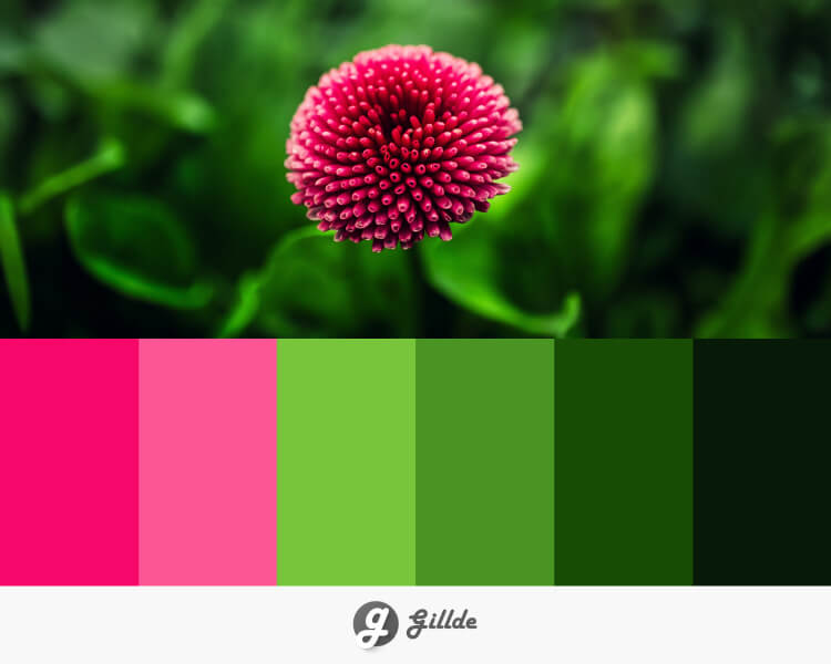 Green color palette Gillde 13