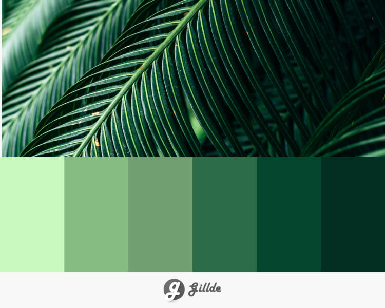Monochrome Green Leaf Color Palette