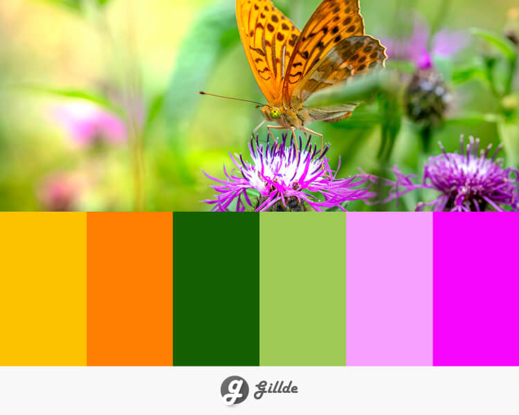 Colorful Butterfly in Nature Color Palette