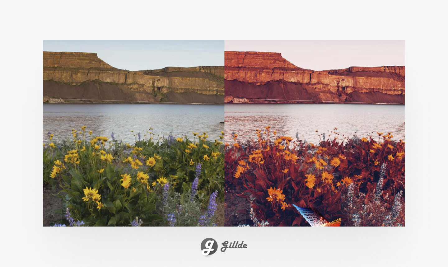 12 Best Infrared Lightroom Presets (Free & Paid) Inspiration