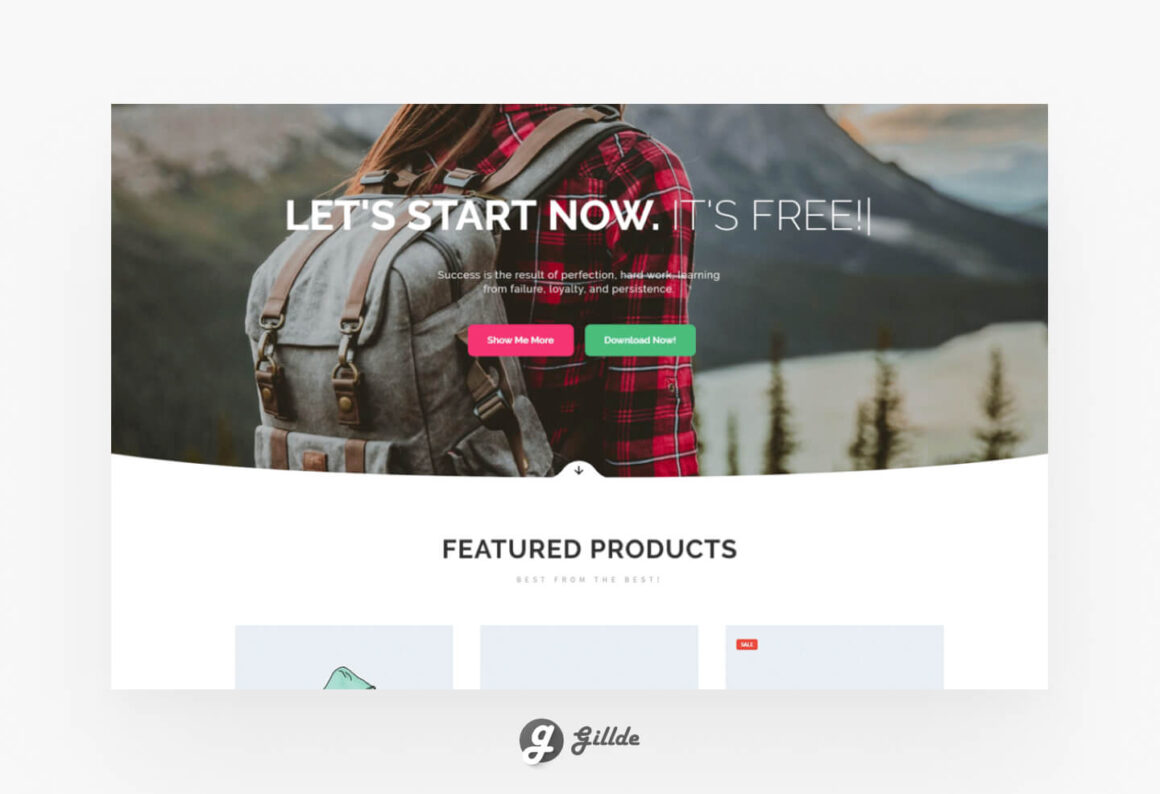 Online Shop WordPress theme