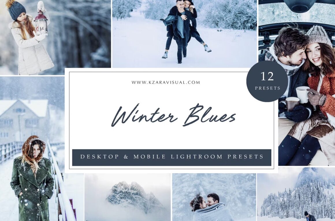 Winter Lightroom Presets