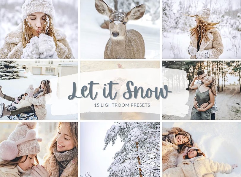 Winter Lightroom Presets