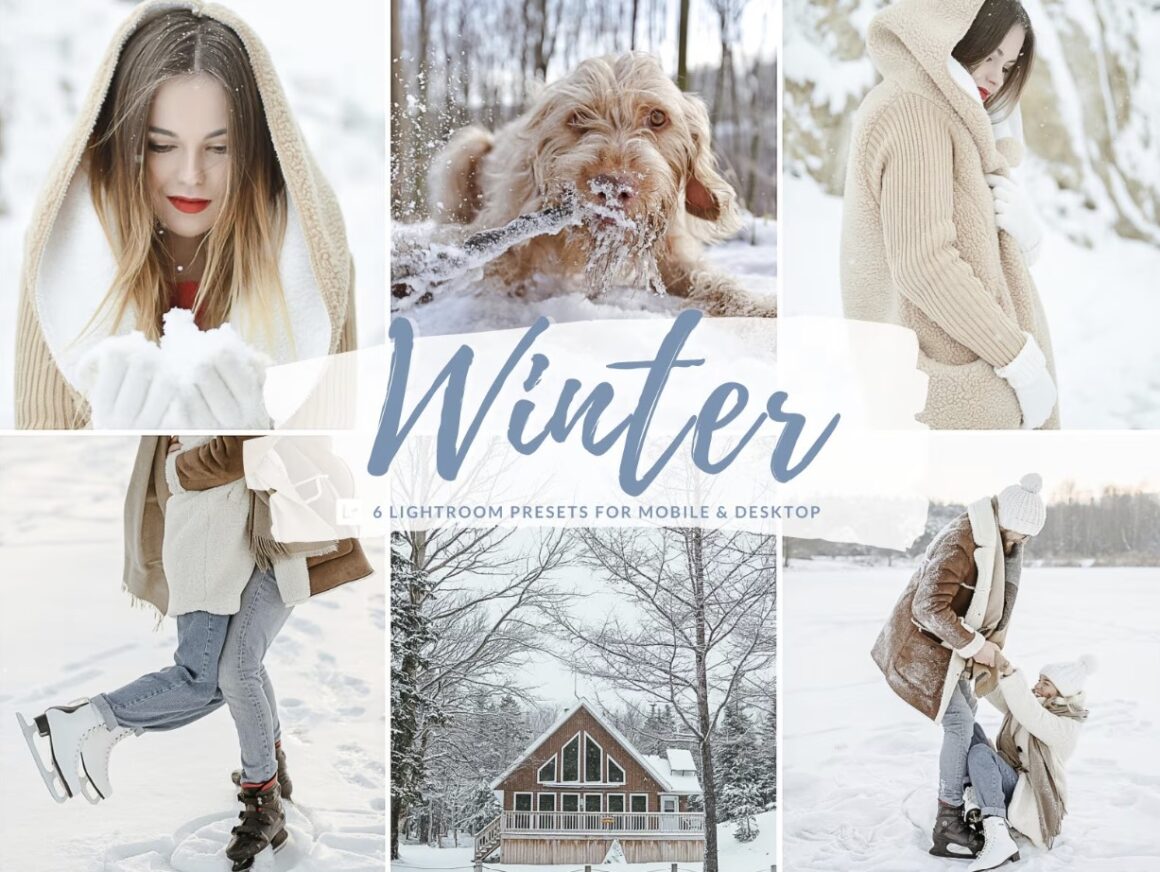 Winter Lightroom Presets