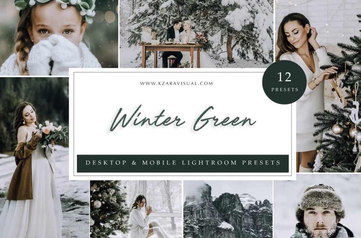 Winter Lightroom Presets