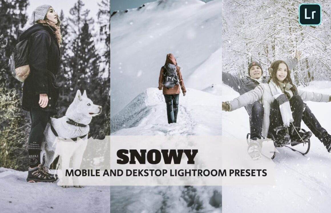 Winter Lightroom Presets