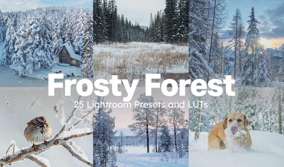 Winter Lightroom Presets