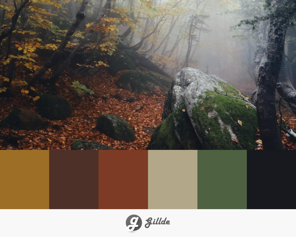 Nature's Canvas: Striking and Artistic Fall Color Palette