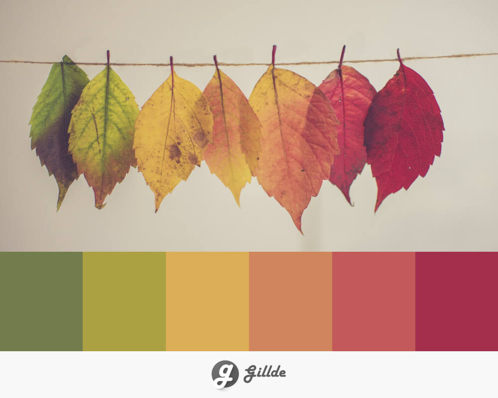 Harmony of Leaves: Tranquil and Serene Fall Color Palette