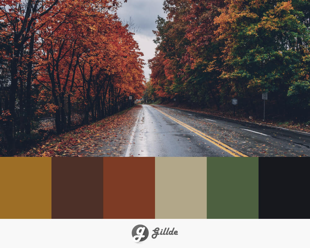 Autumn Enchantment: Magical and Enthralling Fall Color Palette