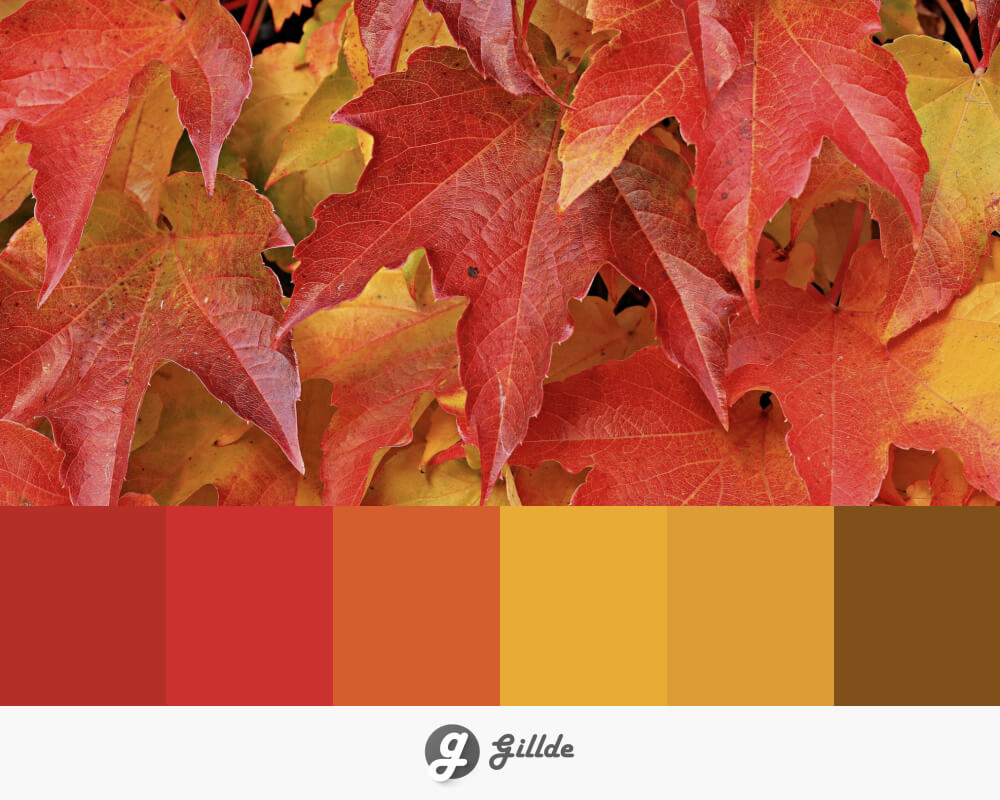 Graceful and Refined Fall Color Palette